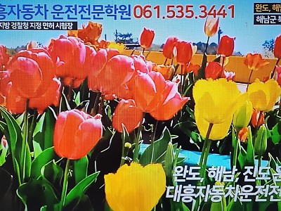 사진첩
